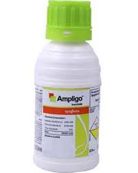 ampligo-profile