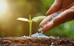 fertilizer-img-image