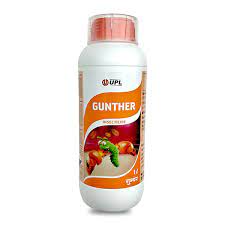 gunther-profile